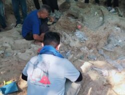 Fosil Gajah Purba Stegodon Ditemukan Utuh di Pegunungan Nganjuk: Temuan Langka yang Guncangkan Sejarah Alam!