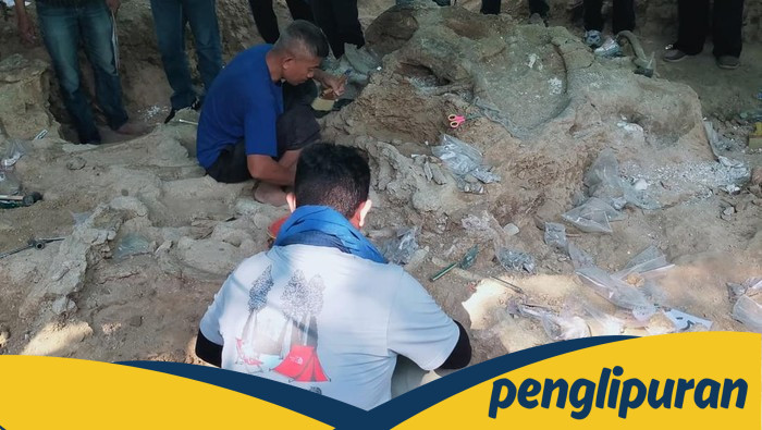 Fosil Gajah Purba Stegodon Ditemukan Utuh di Pegunungan Nganjuk: Temuan Langka yang Guncangkan Sejarah Alam!