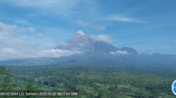 **Gunung Semeru Meletus enam Kali, Kolom Letusan 700 Meter, Warga di sekitar Gunung Semeru Diharapkan Waspada**