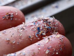 **Ngeri! Bukan Cuma di Air Hujan, Mikroplastik Juga ‘Bersarang’ di Otak Manusia**