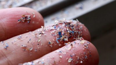 **Ngeri! Bukan Cuma di Air Hujan, Mikroplastik Juga ‘Bersarang’ di Otak Manusia**