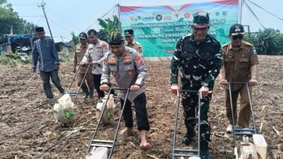 **Polres Serang Tanam 471 Hektare Jagung, Dukung Ketahanan Pangan**