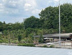 “Wow, Penampakan Rumah Pensiun Jokowi di Karanganyar yang Hampir Rampung Membuat Heboh!”