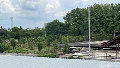 “Wow, Penampakan Rumah Pensiun Jokowi di Karanganyar yang Hampir Rampung Membuat Heboh!”