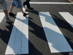 “Segini Jumlah Langkah Sehari untuk Cegah Kematian Dini, Tak Perlu Sampai 10 Ribu”