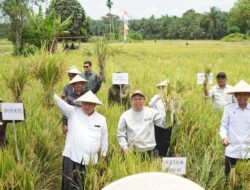 “Sultan Serahkan Alsintan dan Benih Jagung untuk Petani di Mukomuko, Langkah Menjanjikan untuk Future of Agriculture!”