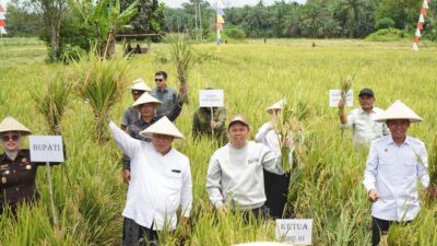 “Sultan Serahkan Alsintan dan Benih Jagung untuk Petani di Mukomuko, Langkah Menjanjikan untuk Future of Agriculture!”