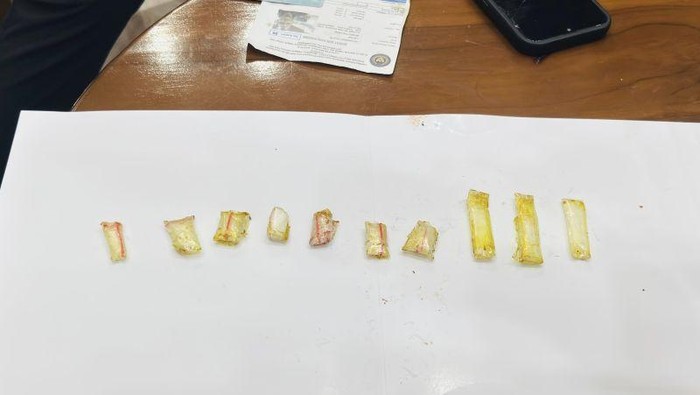 Ayam Kecap Menjadi Perangkap, Lapas Narkotika Jakarta Gagalkan Penyelundupan Sabu