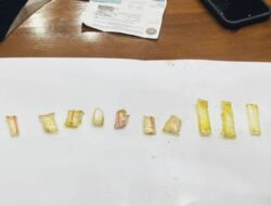 Ayam Kecap Menjadi Perangkap, Lapas Narkotika Jakarta Gagalkan Penyelundupan Sabu