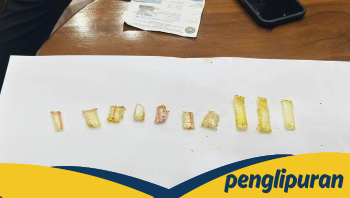 Ayam Kecap Menjadi Perangkap, Lapas Narkotika Jakarta Gagalkan Penyelundupan Sabu