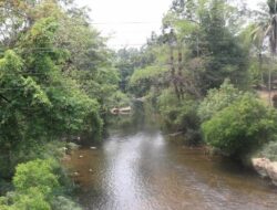 677 Orang Flee to Thailand After Myanmar Cracks Down on Online Scam Hub