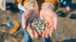 Ngeri, Paru-paru Kita Terancam oleh Mikroplastik yang Menyelinap di Udara yang kita Hhirup!