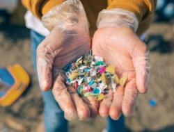 Ngeri, Paru-paru Kita Terancam oleh Mikroplastik yang Menyelinap di Udara yang kita Hhirup!