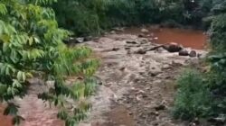 Warga Bogor Terkejut, Air Sungai Cipakancilan Tiba-Tiba Berubah Merah!