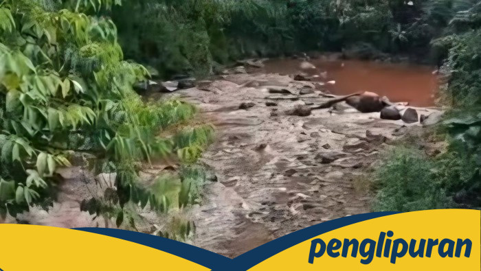 Warga Bogor Terkejut, Air Sungai Cipakancilan Tiba-Tiba Berubah Merah!