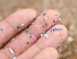 Dinkes DKI: Mikroplastik dalam Tubuh Pasien Diabetes Jadi Penyebab Stroke-Jantung yang Mengerikan!