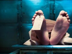 **Horor 48 Kantong Berisi Jasad Manusia Ditemukan di Meksiko: Kuburan Rahasia di Guadalajara**