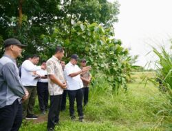“Sekolah Rakyat di Sukoharjo Siap Dibangun, Rampung Juli 2026: Mimpi Pendidikan Rakyat Terwujud?” 😲