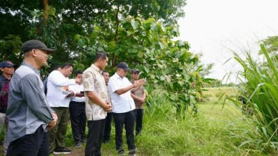 “Sekolah Rakyat di Sukoharjo Siap Dibangun, Rampung Juli 2026: Mimpi Pendidikan Rakyat Terwujud?” 😲