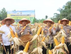 Polres Dumai Raih 1 Ton Jagung Pipil, Solidarkan Ketahanan Pangan Nasional!