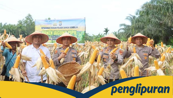 Polres Dumai Raih 1 Ton Jagung Pipil, Solidarkan Ketahanan Pangan Nasional!