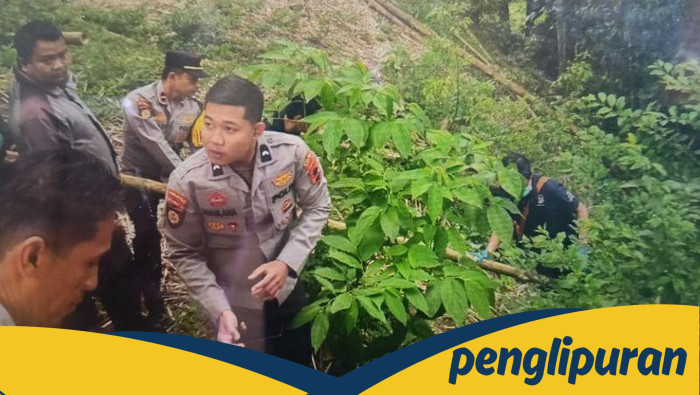 Mayat Bayi Terpotong 3 Ditemukan di Ngarai Sianok: Kepala-Badan Terpisah, Misteri Menyebutkanku