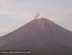 **Gunung Semeru Kembali Erupsi Dua Kali, Letusan Mencapai 700 Meter!**