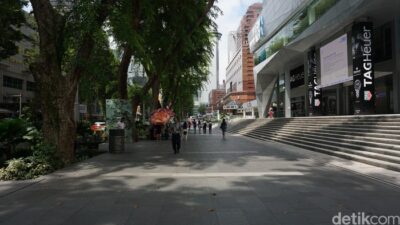 **Mengapa Singapura Terobsesi dengan Pepohonan dan Tempat Teduh?**