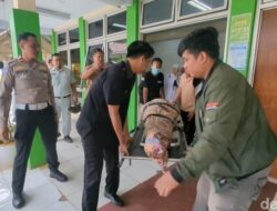 2 Hidup Berhenti Saat Bus Terguling di Tol Batang: Ibu-Anak Meninggal Dunia