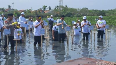 “Gibran Tanam Mangrove di Tangerang, Ancam Pesisir Malang!”