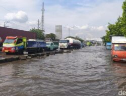 Jalur Pantura Semarang Kembali Terendam Banjir, Truk dan Motor Mogok di Tengah Jalan
