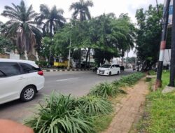 **Detik-detik Pohon Tumbang di Pondok Indah Timpa Lexus, Tragisnya Kematian Pengemudi**