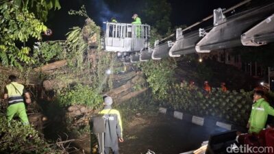 **Pohon Beringin Raksasa Tumbang Tutup Jalan Arah Stasiun Bogor**