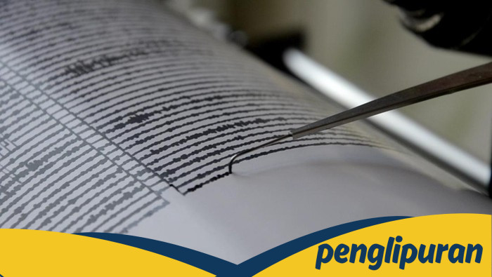 Guncangan Gempa M 4,2 di Jayapura: Warga Berlarian, Kebutuhan Tayak Diperhatikan