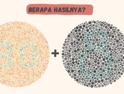 8 Gambar Ini Bisa Mengelabui Mata! Fix, Kamu Jago Kalau Lihat dan Hitung Angkanya – Update 1