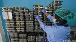 “Siasat BPOM RI Tanggapi Kasus Keracunan MBG yang Masih Berulang: Solusi Apa yang Dibutuhkan saat Ini?”