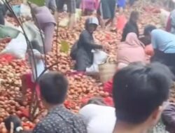 Polisi Ungkap Misteri Pembuang Bawang Bombai, Warga Batam Berdesak-desakkan untuk Ambil Sebagian!