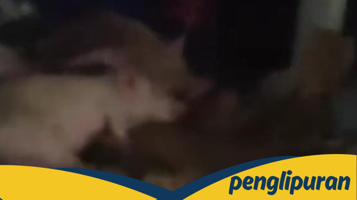 BGN Akan Pidanakan Yayasan yang Angkut Babi di Sumut, Ini Alasannya!