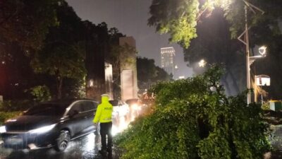 Hati-Hati! Pohon Tumbang Depan GBK Arena, Lalin Tersendat