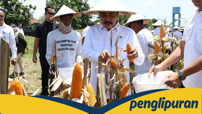 **Menteri Imipas Dukung Ketahanan Pangan dengan Panen 45 Ton Jagung di Sidoarjo**