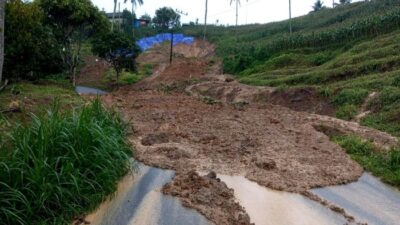 100 Meter Tanah Longsor Tutup Jalur Utama, Warga Pagerwojo Terdampak