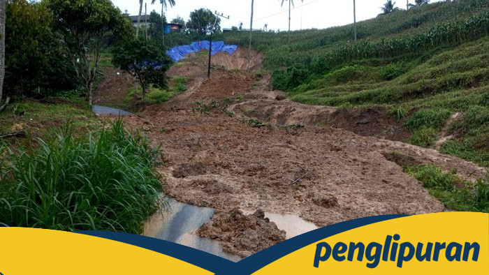 100 Meter Tanah Longsor Tutup Jalur Utama, Warga Pagerwojo Terdampak