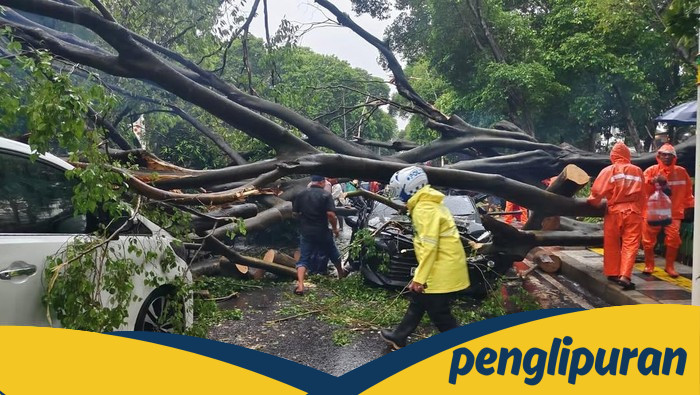 **Hujan Ekstrem di Jakarta: Catat Nomor Posko Pohon Tumbang untuk Keamanan Anda**