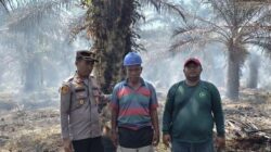 “7 Ha Lahan di Rohil Hancur dalam Api, Puntung Rokok Jadi Penyebab, Pelaku Tertangkap!”