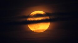 “Supermoon 5 November: Langit Indonesia Siap Bercahaya, Jangan Lewatkan!”