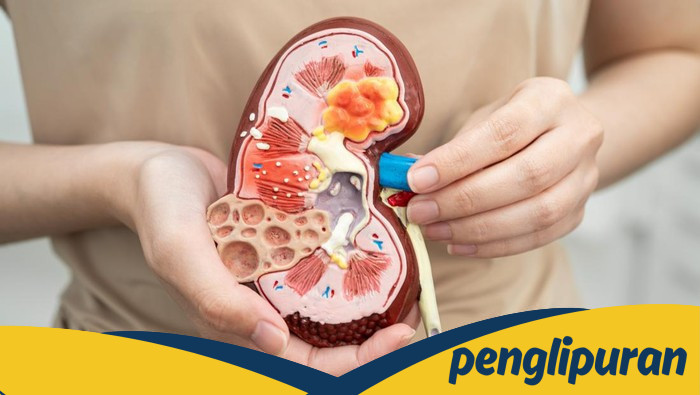 4 Kebiasaan di Pagi Hari yang Berisiko bagi Ginjal, 2 Diantaranya Sering Dilakukan