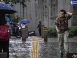 5 Asupan Pendongkrak Imun saat Cuaca Serba Tak Menentu: Tips untuk Tetap Sehat di Musim Hujan