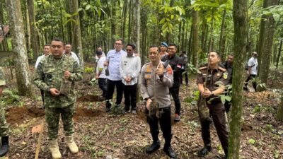 **Forkopimda Bogor Tanam Pohon di Puncak, Galang Perjuangan Kebencanaan dan Lingkungan**