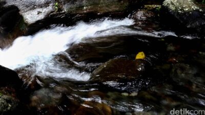 Aksi Polisi di BSD Selamatkan Remaja Hilang, Loncat ke Sungai dalam Pertolongan Darurat