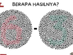 “Buta Warna? 8 Tes Ini Mungkin Membuatmu Tertipu!”